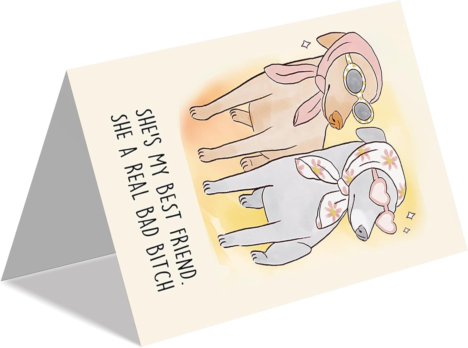 Beixian Funny Dog Birthday Cards for women, Best Friend Birthday Gifts for Her, Humor Birthday Card Gift for Sisters, Unique Birthday Gifts for Girlfriend - Image 5